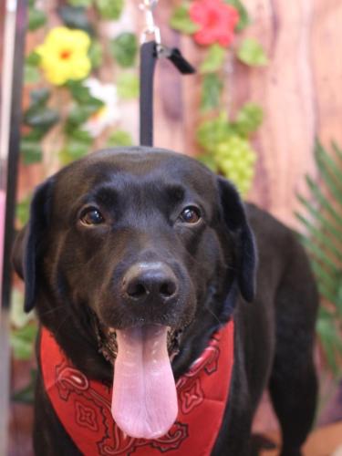 20230824フックくん